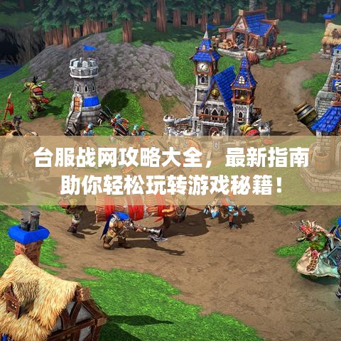 臺(tái)服戰(zhàn)網(wǎng)攻略大全，最新指南助你輕松玩轉(zhuǎn)游戲秘籍！