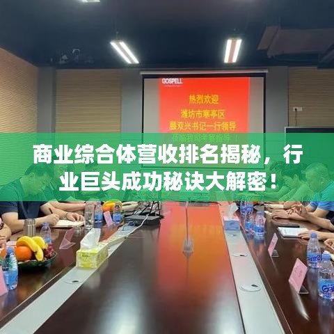 商業(yè)綜合體營收排名揭秘，行業(yè)巨頭成功秘訣大解密！