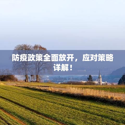 防疫政策全面放開，應(yīng)對(duì)策略詳解！