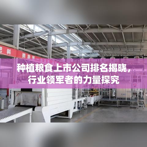 種植糧食上市公司排名揭曉，行業(yè)領軍者的力量探究