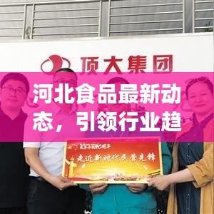 河北食品最新動(dòng)態(tài)，引領(lǐng)行業(yè)趨勢(shì)，聚焦前沿資訊