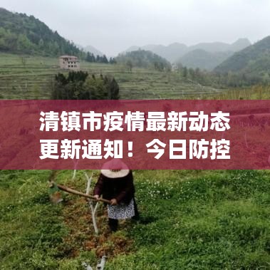 清鎮(zhèn)市疫情最新動態(tài)更新通知！今日防控進展揭秘！