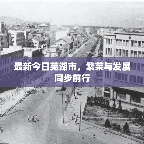 最新今日蕪湖市，繁榮與發(fā)展同步前行