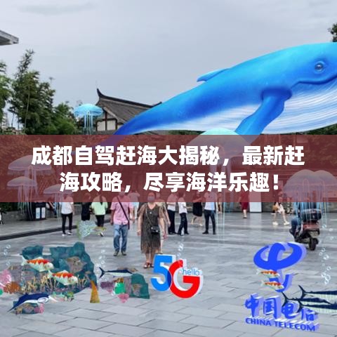 成都自駕趕海大揭秘，最新趕海攻略，盡享海洋樂趣！