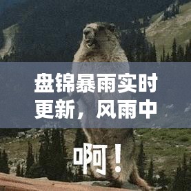 盤錦暴雨實(shí)時(shí)更新，風(fēng)雨中的城市與民眾的應(yīng)對(duì)策略