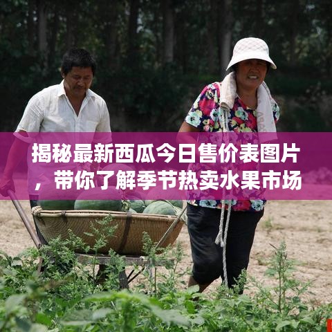 揭秘最新西瓜今日售價(jià)表圖片，帶你了解季節(jié)熱賣水果市場(chǎng)動(dòng)態(tài)！