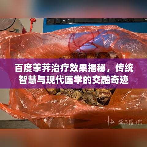 百度荸薺治療效果揭秘，傳統(tǒng)智慧與現(xiàn)代醫(yī)學(xué)的交融奇跡