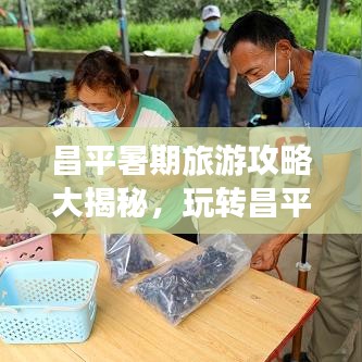 昌平暑期旅游攻略大揭秘，玩轉(zhuǎn)昌平，盡享夏日風情！