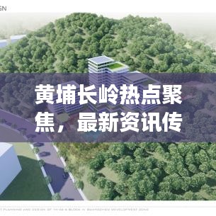 黃埔長嶺熱點(diǎn)聚焦，最新資訊傳遞，時(shí)事新聞?lì)^條