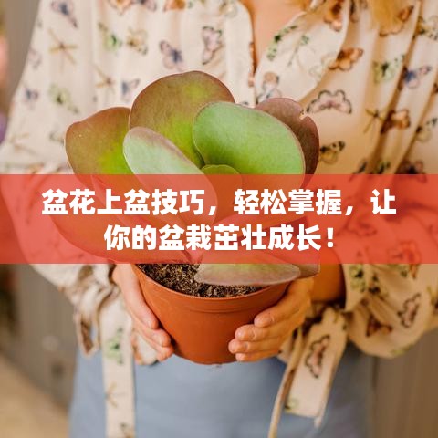 粗心大意 第3頁(yè)