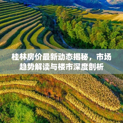桂林房價最新動態(tài)揭秘，市場趨勢解讀與樓市深度剖析