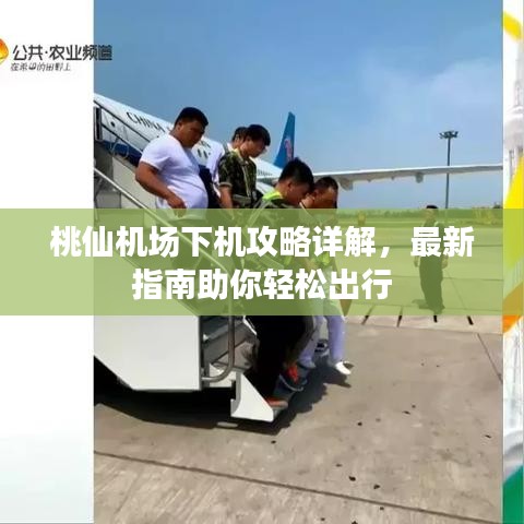 桃仙機(jī)場(chǎng)下機(jī)攻略詳解，最新指南助你輕松出行