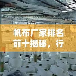 帆布廠家排名前十揭秘，行業(yè)翹楚一網(wǎng)打盡