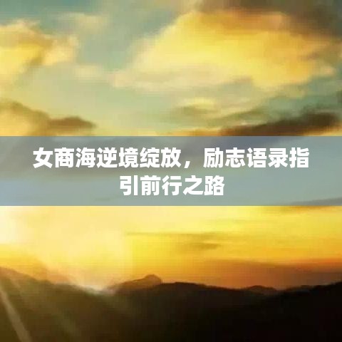 女商海逆境綻放，勵(lì)志語(yǔ)錄指引前行之路