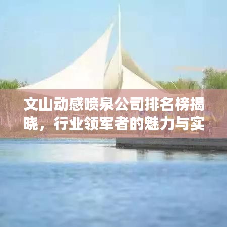 文山動感噴泉公司排名榜揭曉，行業(yè)領(lǐng)軍者的魅力與實力比拼