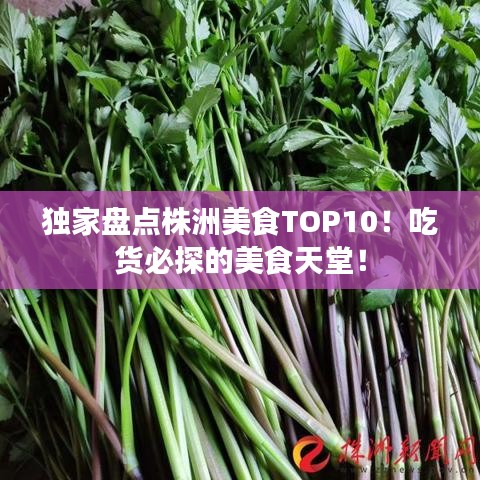 獨家盤點株洲美食TOP10！吃貨必探的美食天堂！