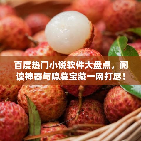 百度熱門小說軟件大盤點，閱讀神器與隱藏寶藏一網(wǎng)打盡！