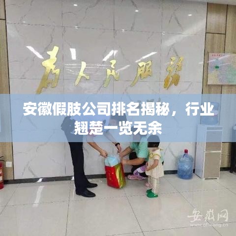 安徽假肢公司排名揭秘，行業(yè)翹楚一覽無余