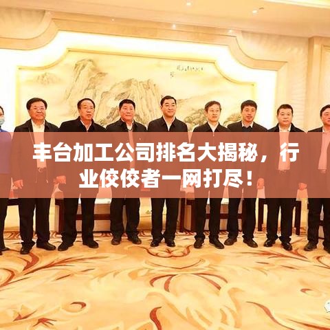 豐臺加工公司排名大揭秘，行業(yè)佼佼者一網(wǎng)打盡！