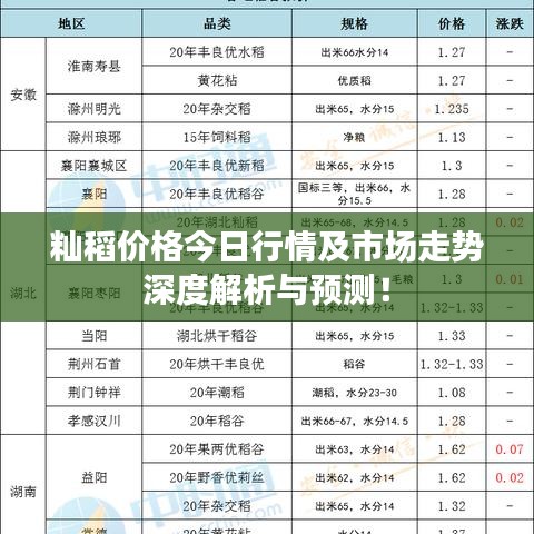 秈稻價(jià)格今日行情及市場(chǎng)走勢(shì)深度解析與預(yù)測(cè)！