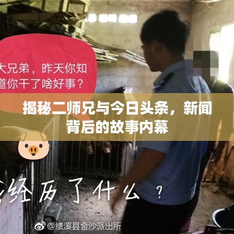 揭秘二師兄與今日頭條，新聞背后的故事內(nèi)幕