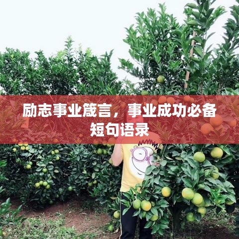 貴不期驕 第4頁(yè)