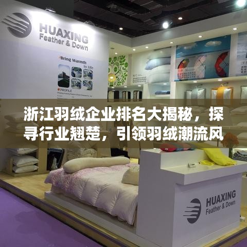 浙江羽絨企業(yè)排名大揭秘，探尋行業(yè)翹楚，引領(lǐng)羽絨潮流風(fēng)向標(biāo)！