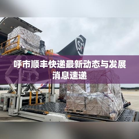 呼市順豐快遞最新動(dòng)態(tài)與發(fā)展消息速遞