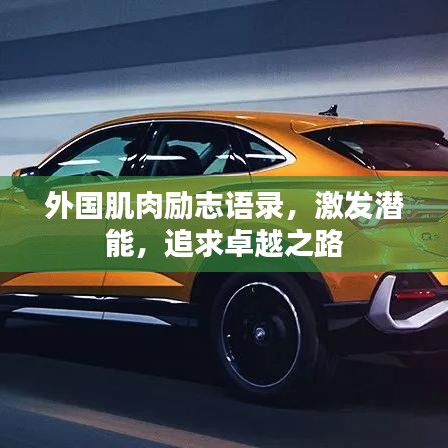 外國肌肉勵志語錄，激發(fā)潛能，追求卓越之路