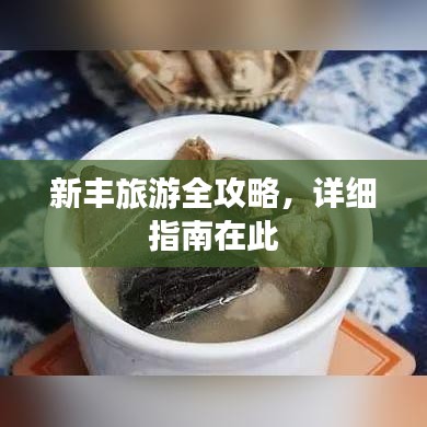 新豐旅游全攻略，詳細(xì)指南在此