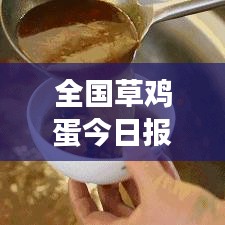 全國草雞蛋今日報價及市場分析，最新市場動態(tài)，一網(wǎng)打盡！