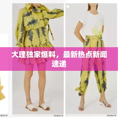 大理獨(dú)家爆料，最新熱點(diǎn)新聞速遞