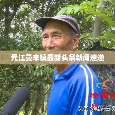 元江曼來鎮(zhèn)最新頭條新聞速遞