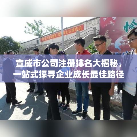 宣威市公司注冊排名大揭秘，一站式探尋企業(yè)成長最佳路徑！