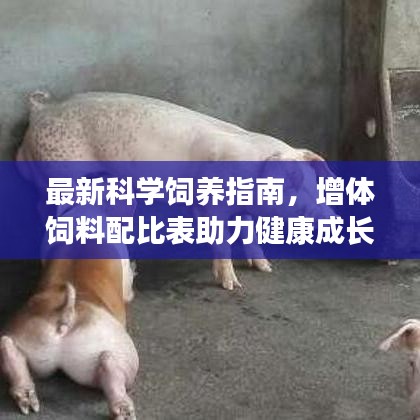 最新科學(xué)飼養(yǎng)指南，增體飼料配比表助力健康成長(zhǎng)