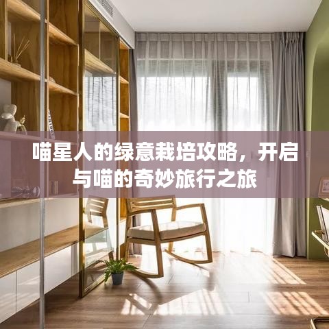 喵星人的綠意栽培攻略，開啟與喵的奇妙旅行之旅