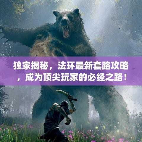 獨(dú)家揭秘，法環(huán)最新套路攻略，成為頂尖玩家的必經(jīng)之路！