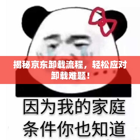 揭秘京東卸載流程，輕松應(yīng)對卸載難題！