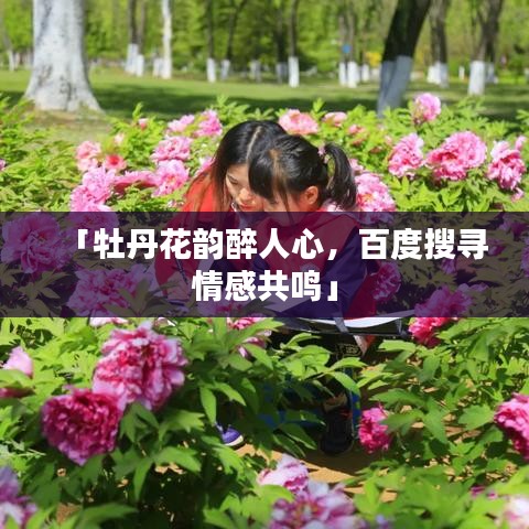「牡丹花韻醉人心，百度搜尋情感共鳴」
