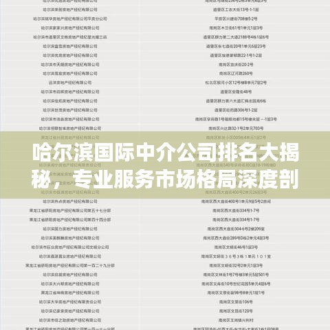 哈爾濱國際中介公司排名大揭秘，專業(yè)服務(wù)市場格局深度剖析！