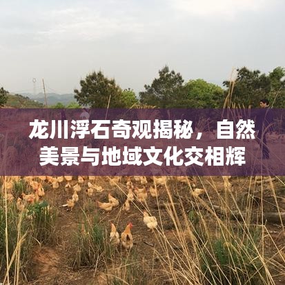 龍川浮石奇觀揭秘，自然美景與地域文化交相輝映的新聞頭條