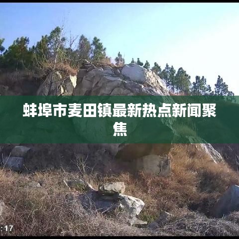 蚌埠市麥田鎮(zhèn)最新熱點新聞聚焦