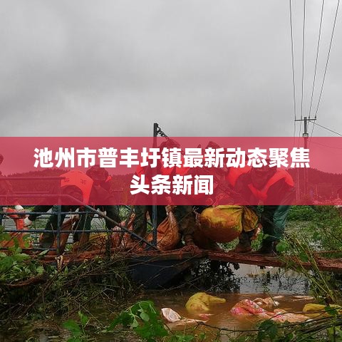 池州市普豐圩鎮(zhèn)最新動(dòng)態(tài)聚焦頭條新聞