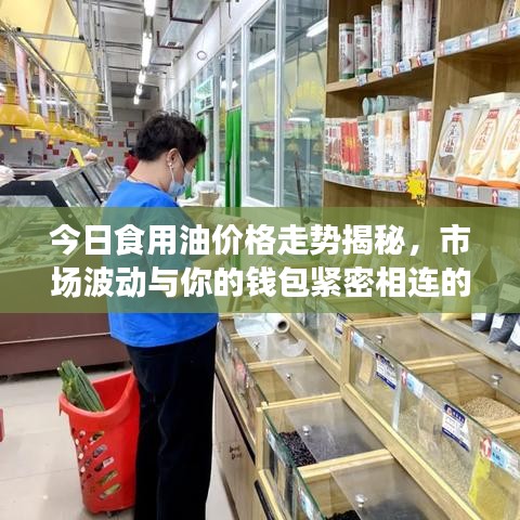今日食用油價(jià)格走勢揭秘，市場波動(dòng)與你的錢包緊密相連的最新消息