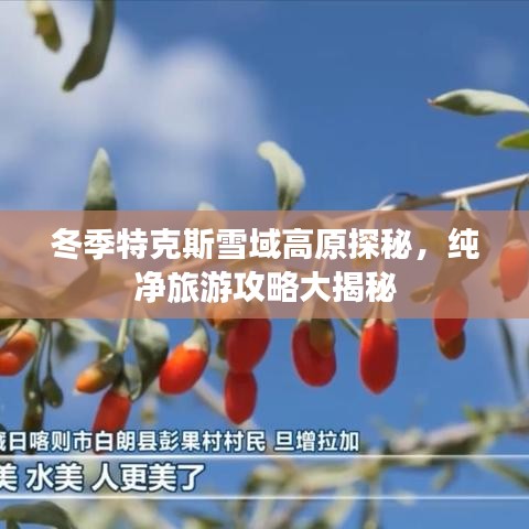 冬季特克斯雪域高原探秘，純凈旅游攻略大揭秘