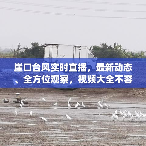崖口臺風(fēng)實時直播，最新動態(tài)、全方位觀察，視頻大全不容錯過