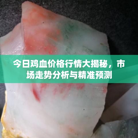 今日雞血價(jià)格行情大揭秘，市場走勢分析與精準(zhǔn)預(yù)測