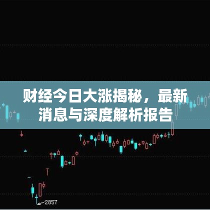 財(cái)經(jīng)今日大漲揭秘，最新消息與深度解析報(bào)告