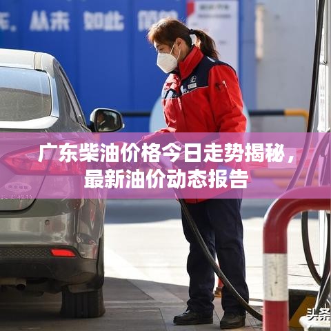 廣東柴油價格今日走勢揭秘，最新油價動態(tài)報告