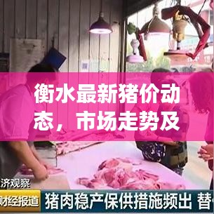 衡水最新豬價(jià)動(dòng)態(tài)，市場(chǎng)走勢(shì)及影響因素深度解析